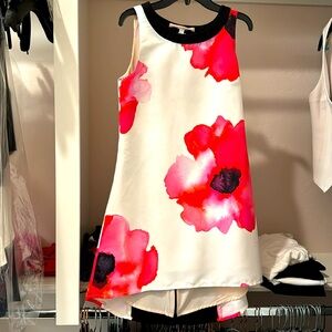 Stunning Troubadour Dress